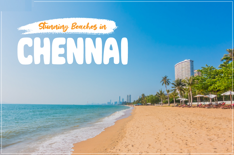 Top 8 Beaches in Chennai