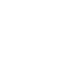 Invertor