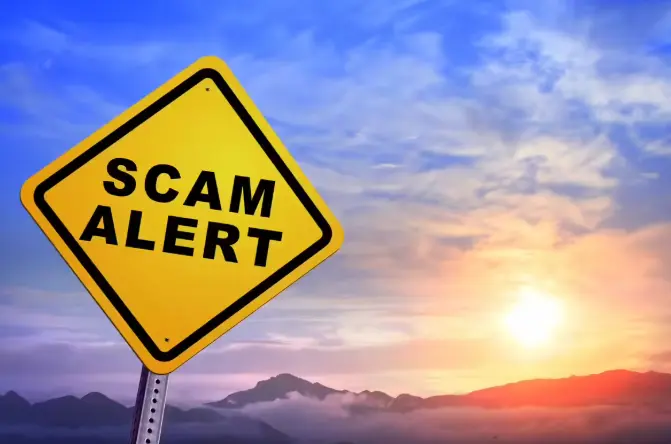 Chennai’s Pallikaranai Ramsar Site at Centre of Alleged Rs 2000 Crore Housing Scam
