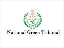 NGT directs Tamil Nadu government to revise incomplete coastal maps