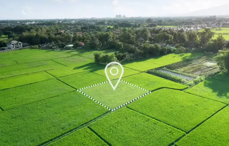 The Tamil Nadu Land Reforms Department has released guidelines for maintaining records.