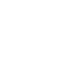 Invertor